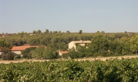 Domaine Saint-Savournin