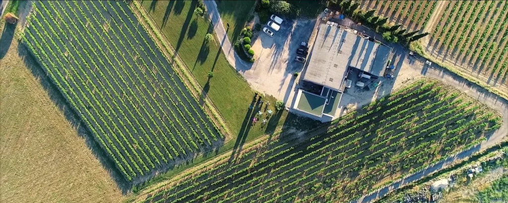 Vue aérienne d'un vignoble et d'une cave, offrant un paysage agricole pittoresque.