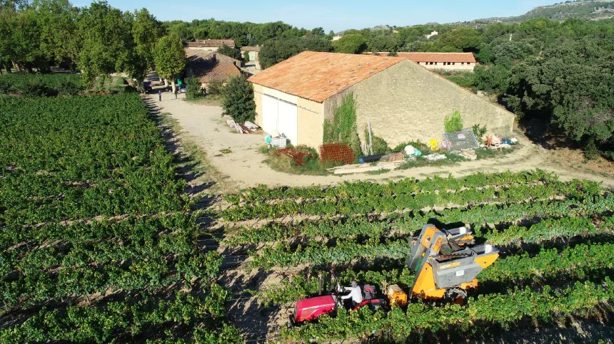 Vue aérienne d'un vignoble avec une ferme et des équipements agricoles en activité.