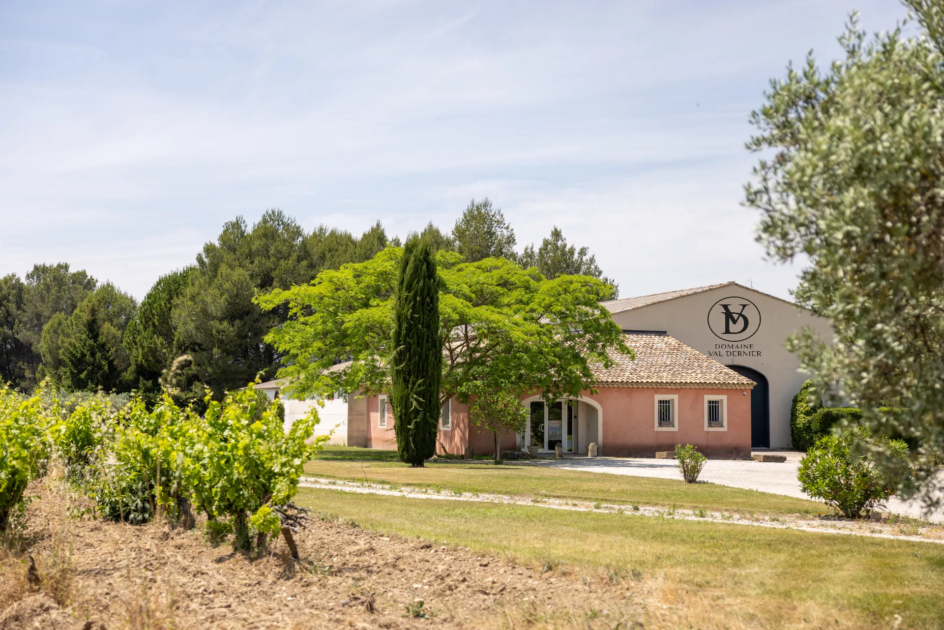 Domaine Val Dernier, un vignoble provençal paisible sous le soleil, offrant un cadre enchanteur.