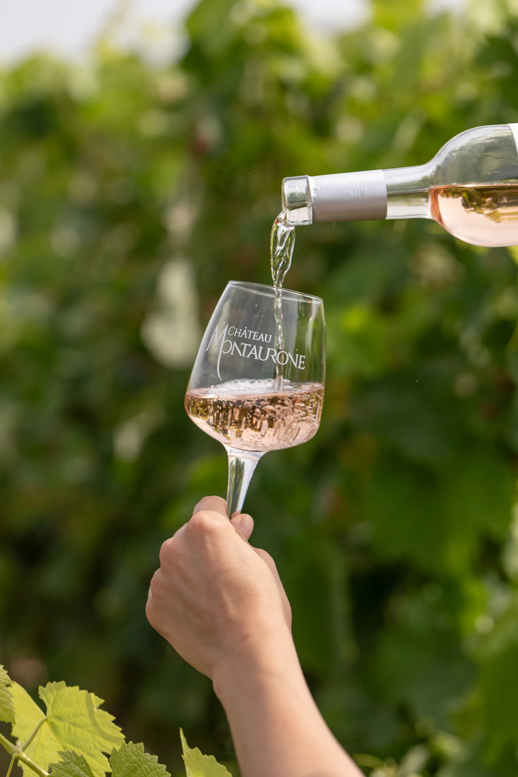 Un verre de Château Montauroux se remplit de vin rosé dans un vignoble verdoyant.